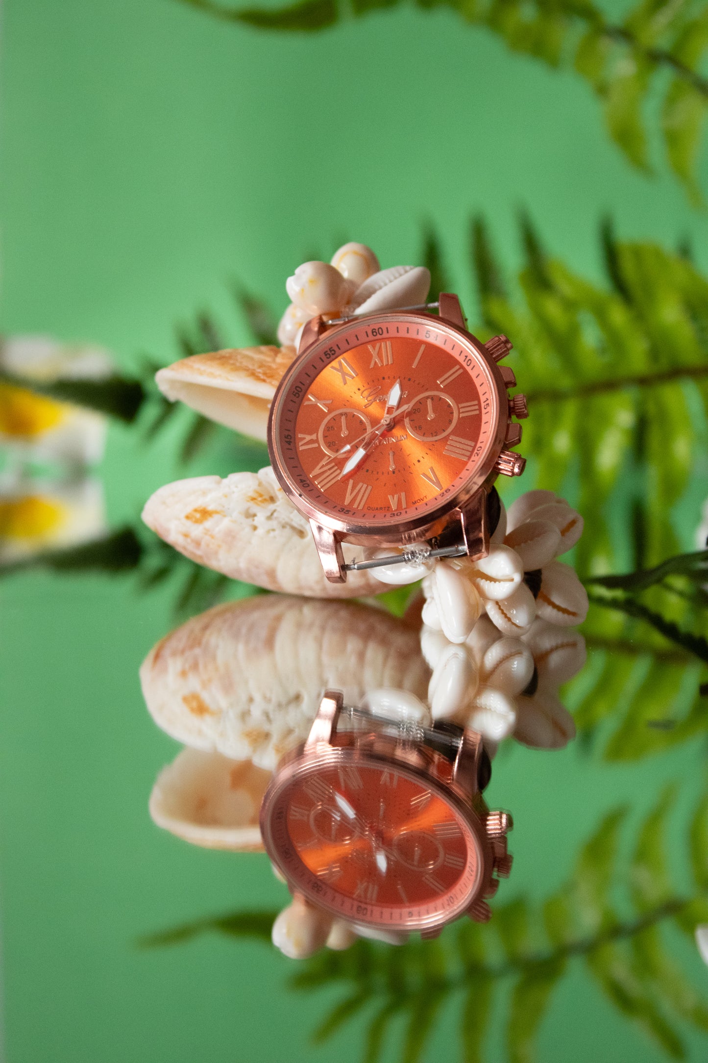 Montre