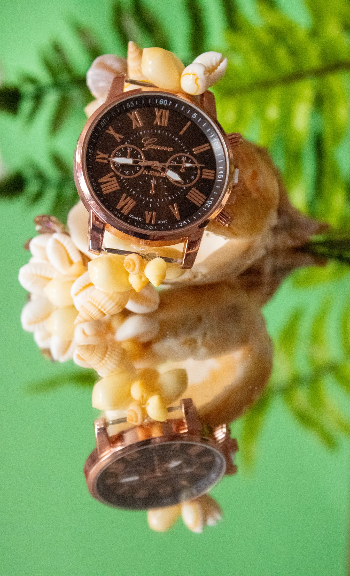 Montre